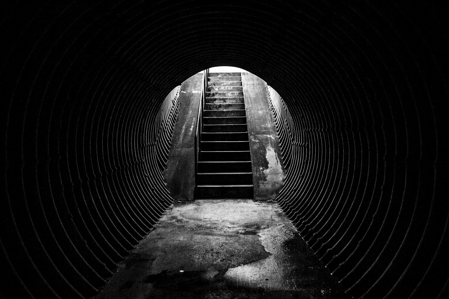 以黑治黑电视剧全集在线观看，深度解析与观感分享