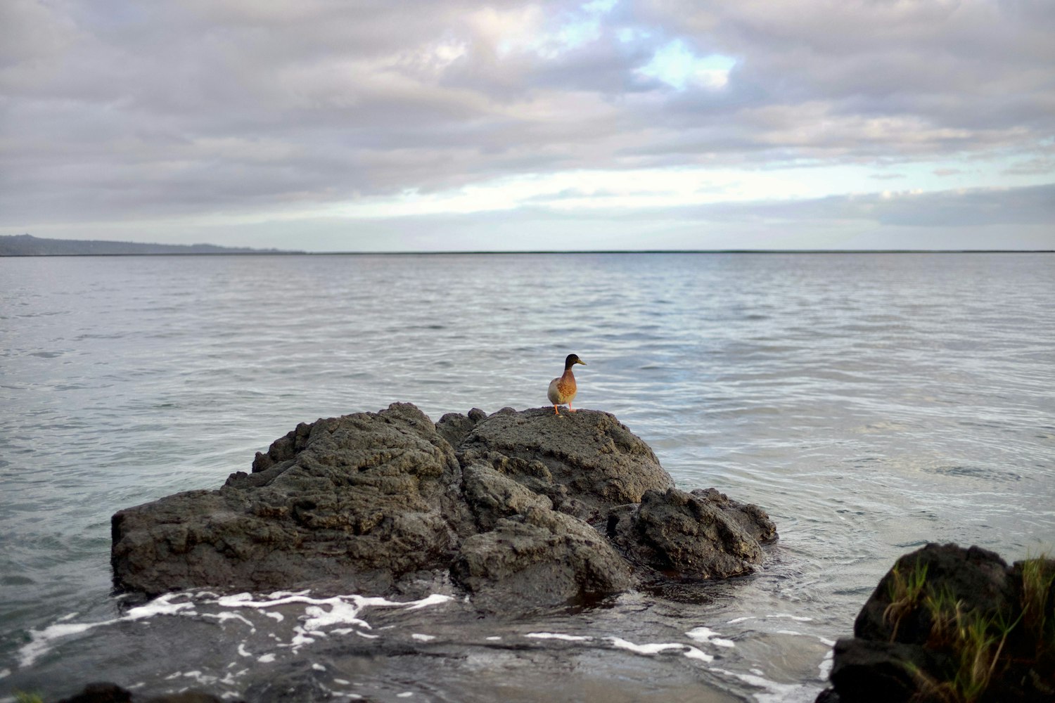 范冰冰最新动态，全球闪耀，引领时尚潮流之巅