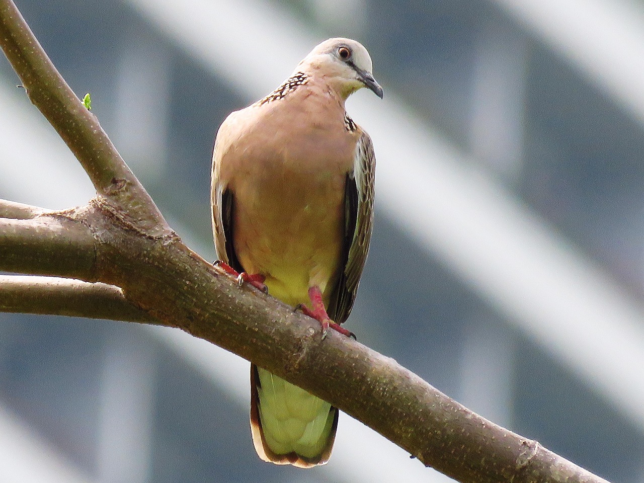 中材国际重组最新进展，最新动态更新