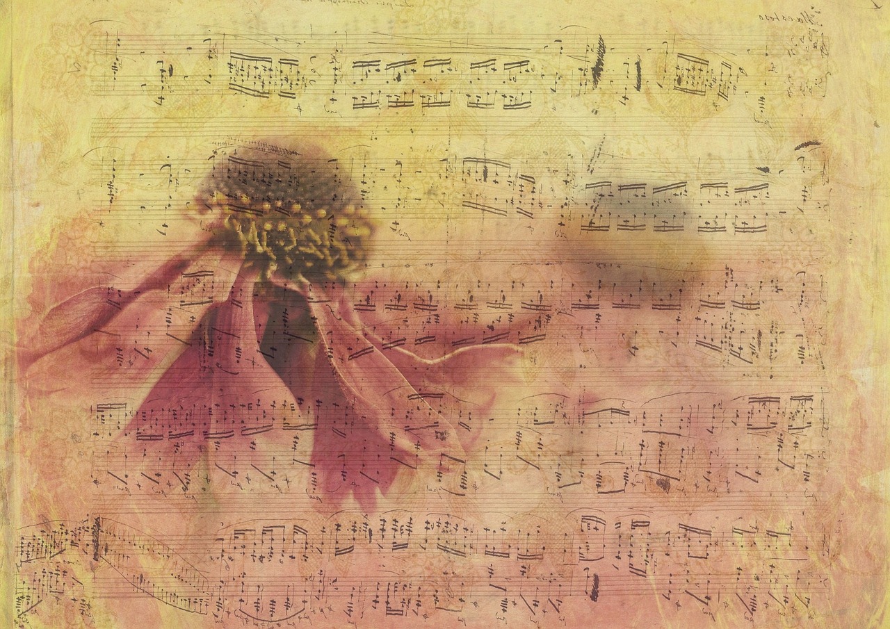 怀旧新加坡电视剧大全,经典剧集与美好回忆的回顾