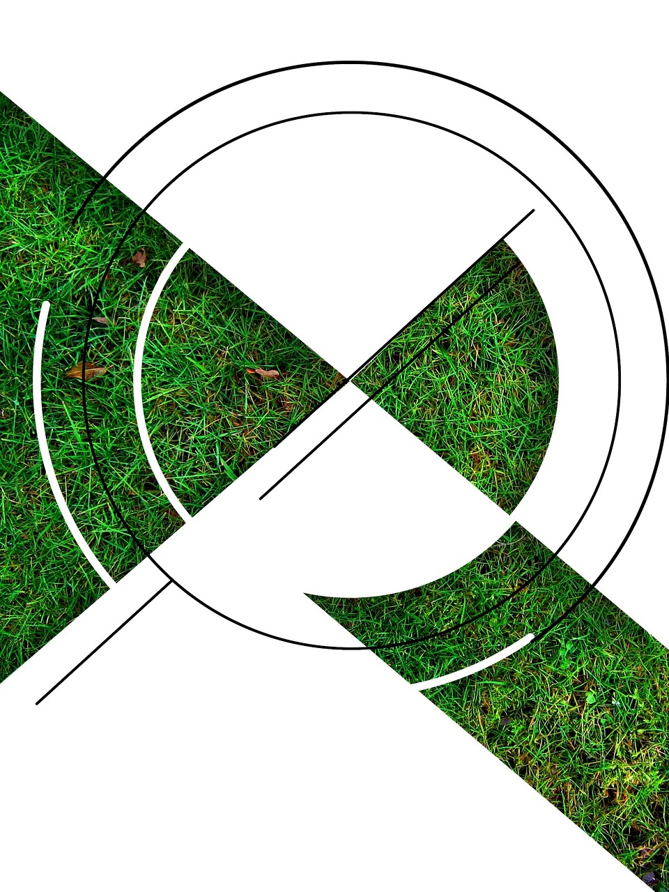 现代管理模式革新，挑战与机遇并存的新时代变革