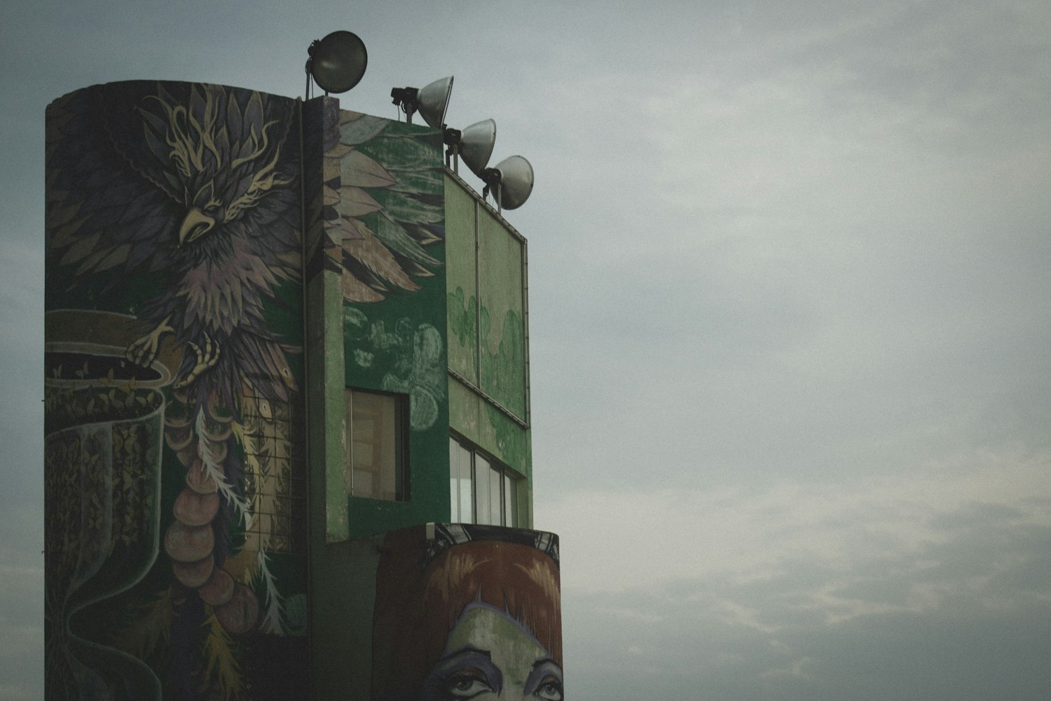 考特尼·斯托登最新动态揭秘，音乐与人生的新篇章探索