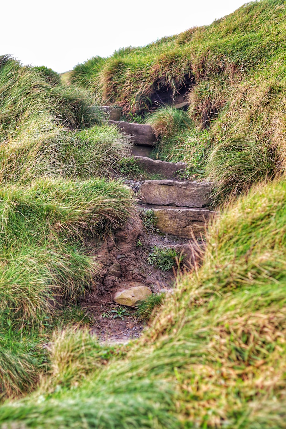 探索石头世界的魅力，最新赏石精选集萃