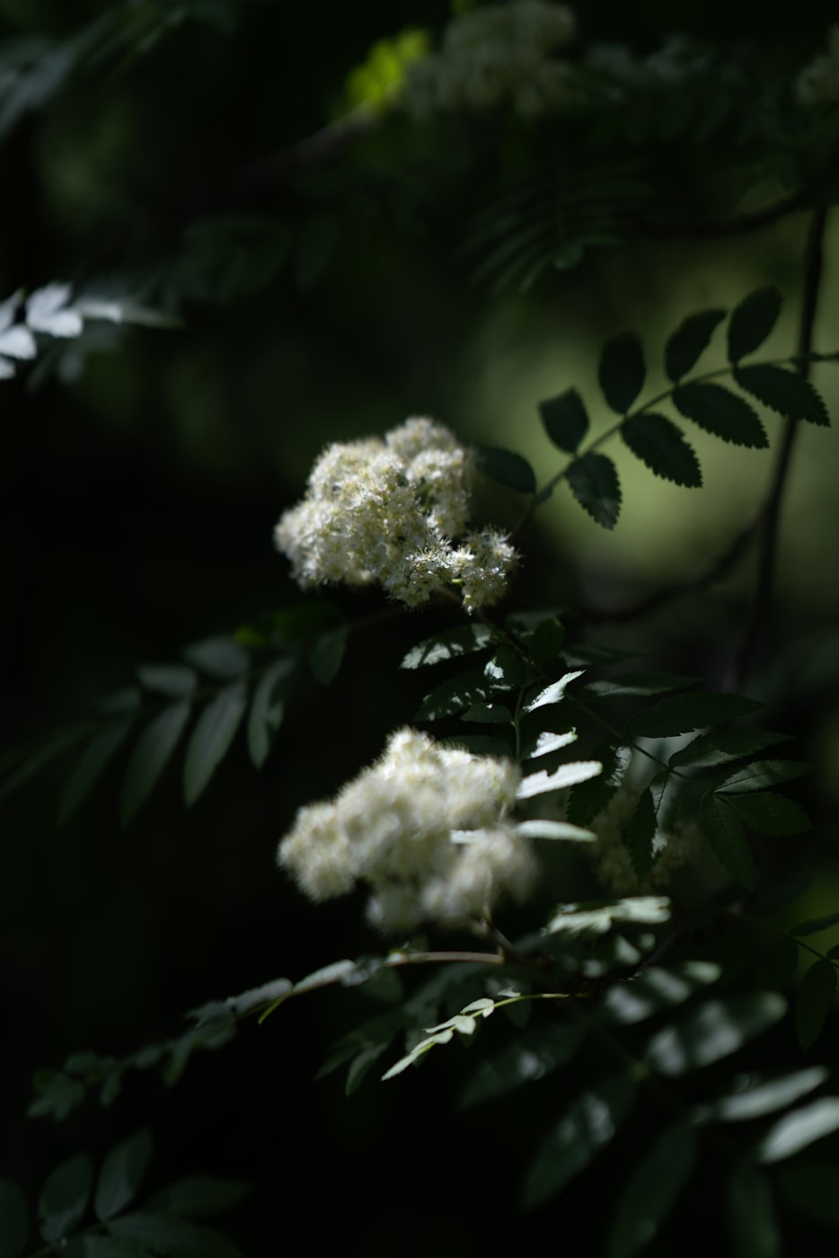 千百度最新动态引领科技潮流，塑造未来生活创新力量。