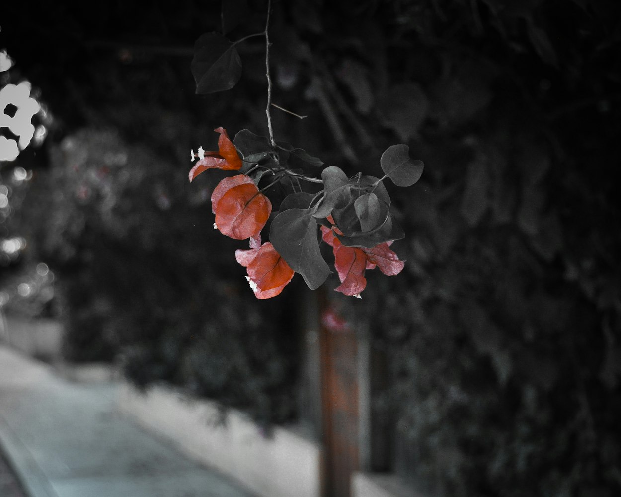 缘之空电影，情感与命运的交织探索