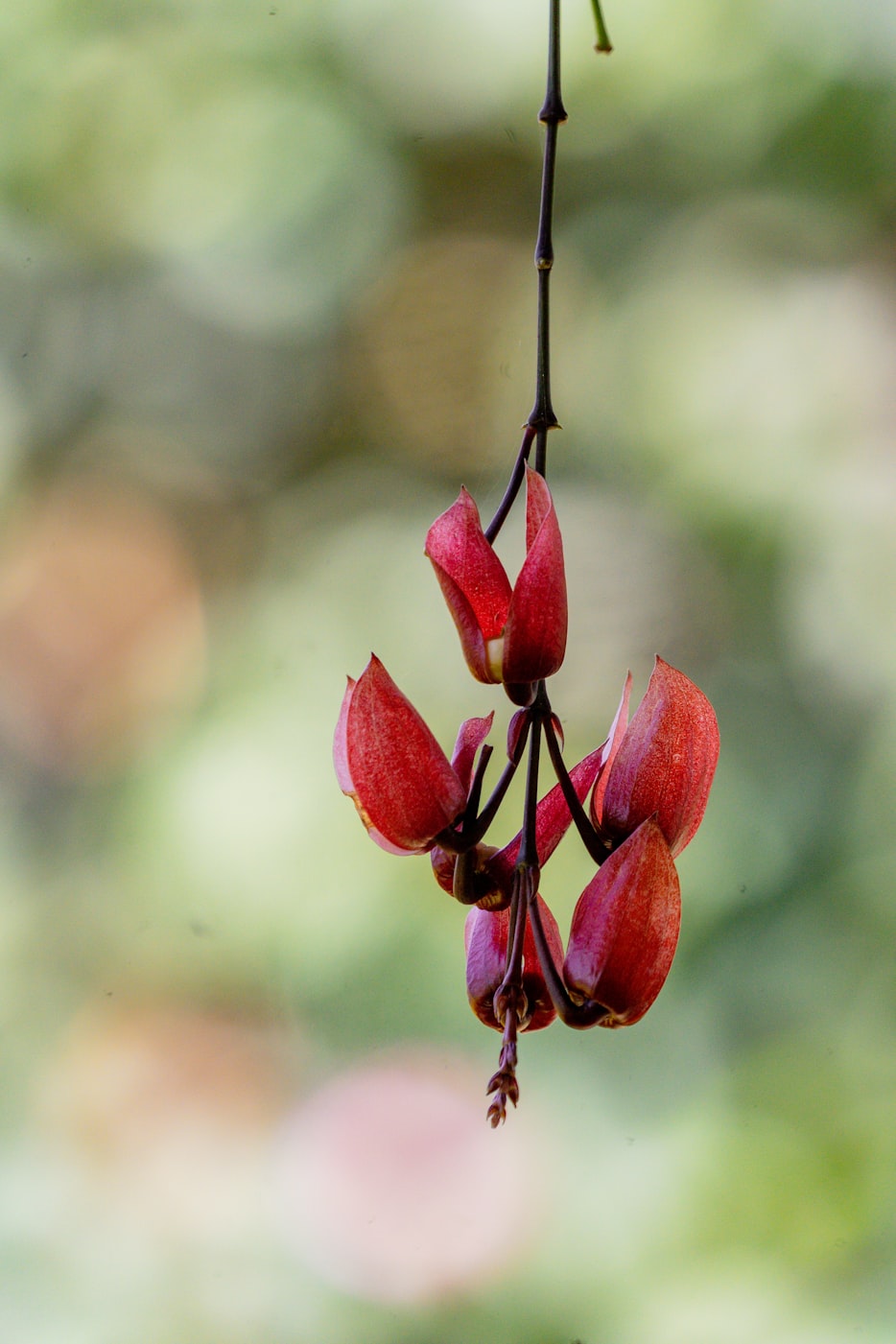 聚焦300081热点动态，最新资讯一网打尽