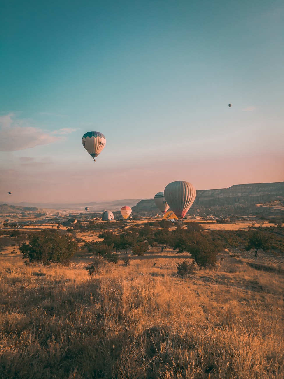 萧权新动态,引领变革,展望未来