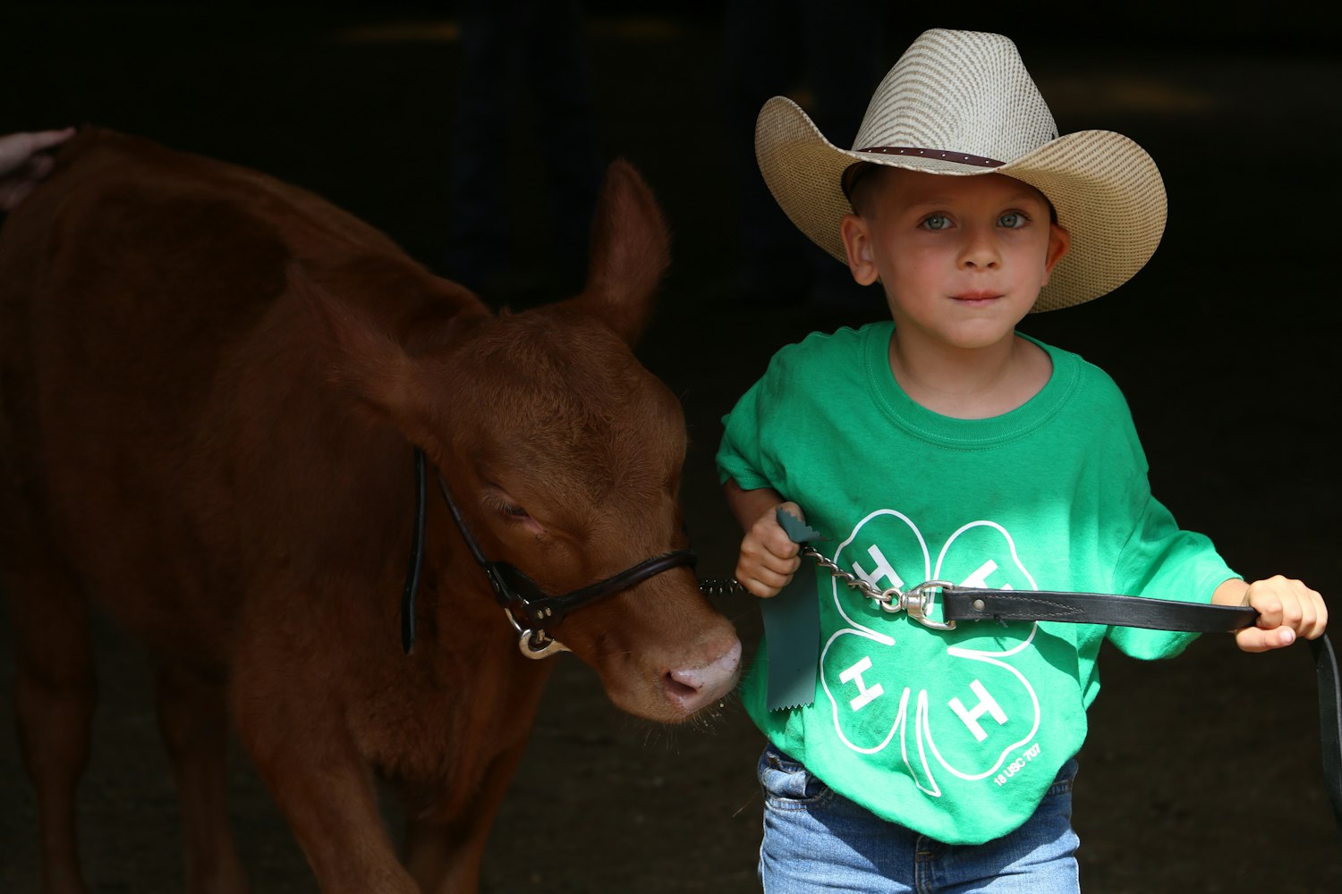 王林大师最新动态揭秘，探索前沿领域，展现卓越风采